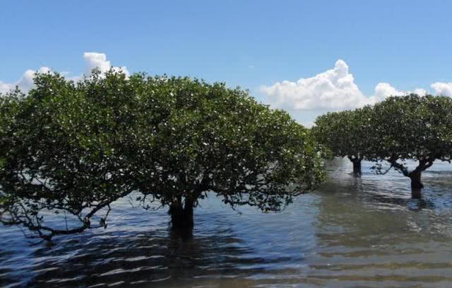 全球各省高铁规划图，我国两广地区在规划一条高铁