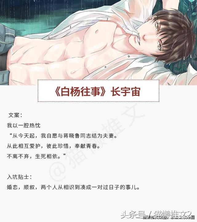5本值得刷十遍的高干文，5本值得N刷的经典高干文