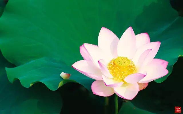 晚安的句子180723：好的爱情，永远是两个人的努力