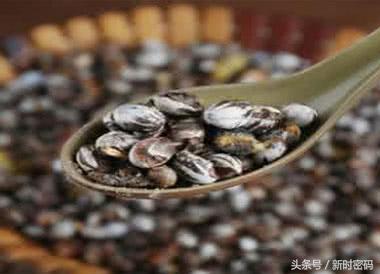 农村常见的10种野生食物，图6名字容易被误会