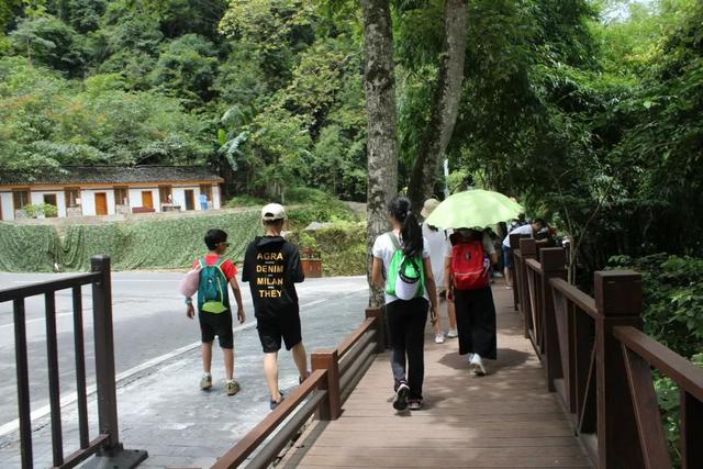 大小七孔旅游攻略，荔波小七孔游玩攻略推荐（贵州深度旅行之十三：大七孔）