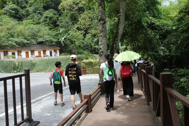 大小七孔旅游攻略，荔波小七孔游玩攻略推荐（贵州深度旅行之十三：大七孔）