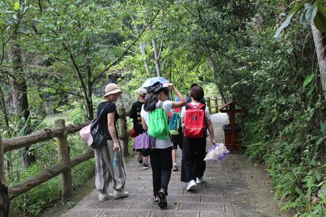 大小七孔旅游攻略，荔波小七孔游玩攻略推荐（贵州深度旅行之十三：大七孔）