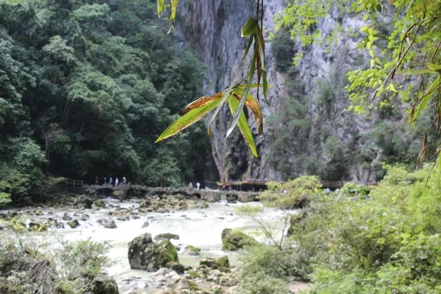 大小七孔旅游攻略，荔波小七孔游玩攻略推荐（贵州深度旅行之十三：大七孔）