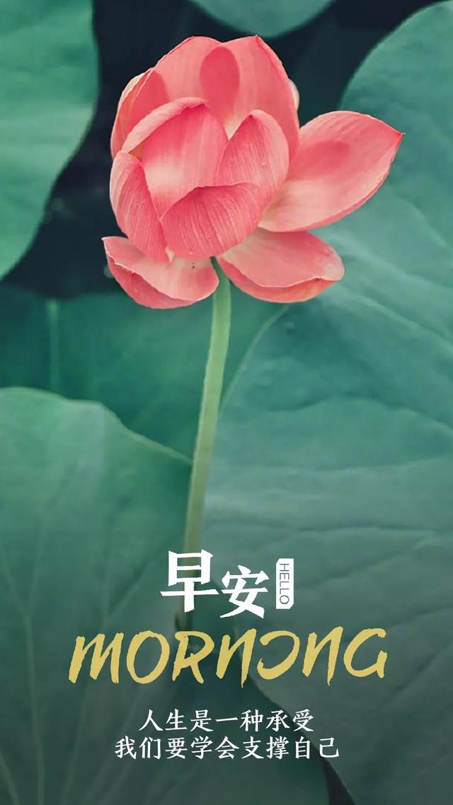 早安日签励志180724：最困难的时候，就是最接近成功的时候