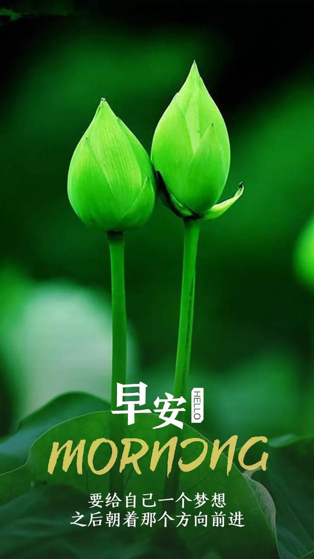 早安日签励志180724：最困难的时候，就是最接近成功的时候