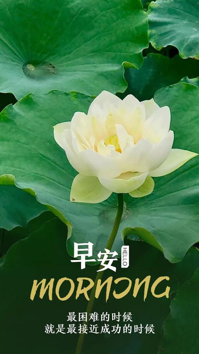 早安日签励志180724：最困难的时候，就是最接近成功的时候