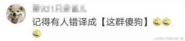 ssfd是什么梗，直到看不懂00后缩写