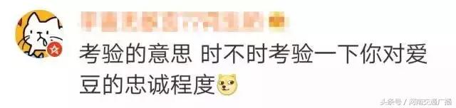 ssfd是什么梗，直到看不懂00后缩写