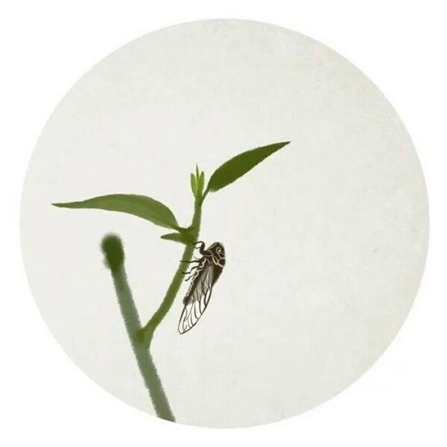 晚安语句180726：时光从来不等人，只有人去等时光