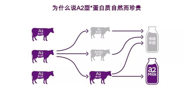 新西兰奶粉品牌排行榜前十名，这个新西兰知名奶粉品牌摊上事了