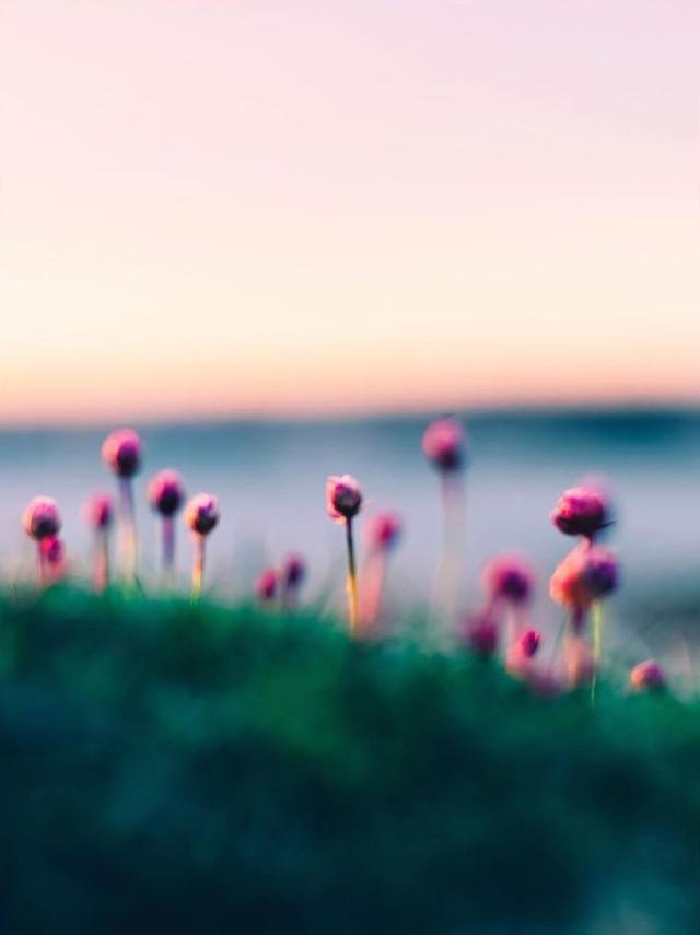 早安的句子180728：做心怀善意的人，结温暖踏实的朋友