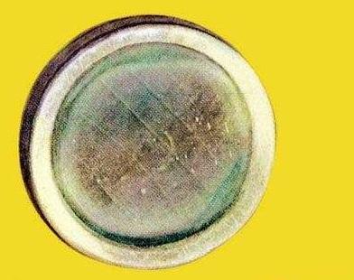 世界最毒化学物质前二十，化学武器vx神经毒气最毒