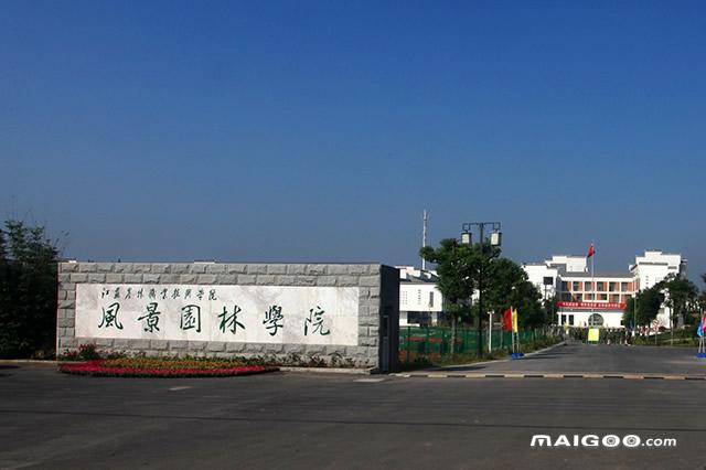 江苏最好的高职院校，江苏十大专科学校排名