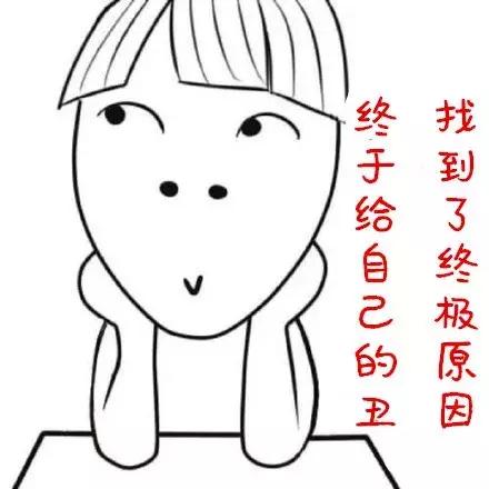 豚鼠和荷兰猪的区别，荷兰猪和豚鼠有什么区别（荷兰猪是荷兰的猪吗）