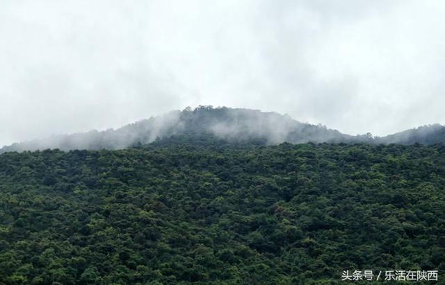 越南岘港自由行攻略，越岘越深低价游