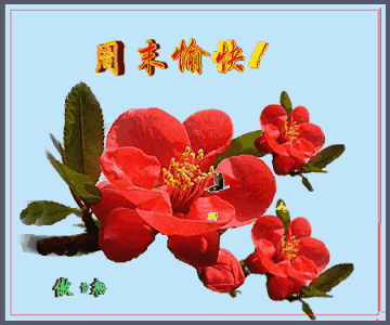 问候周末快乐祝福动态表情图片周末早上好问候温暖的话语
