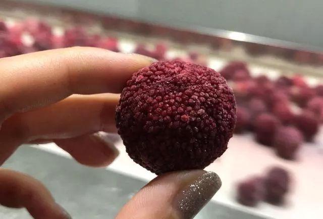 冬季最推荐10款饮料，在炎炎夏日可以无负担地大口畅饮