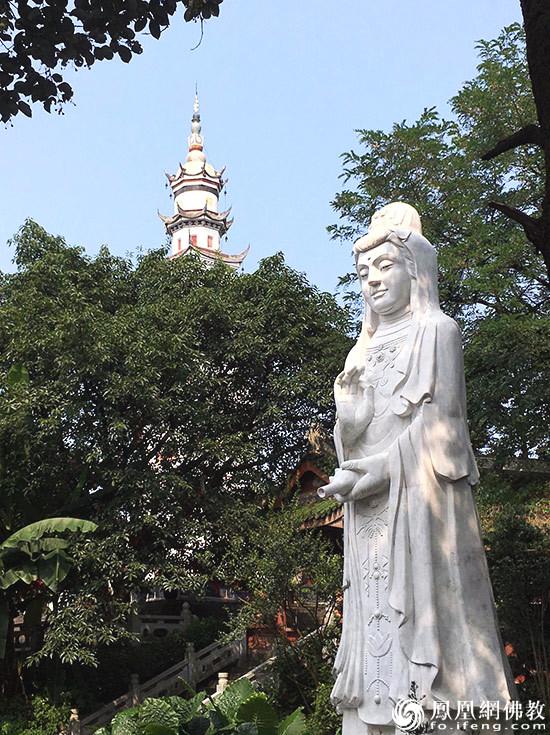 观音菩萨佛像的图片，33幅观音像