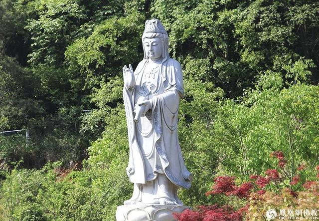 观音菩萨佛像的图片，33幅观音像