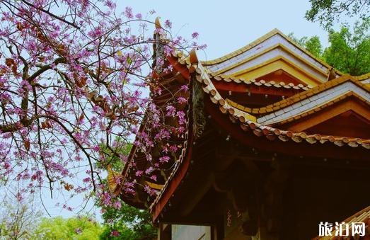 福建福州旅游景点，福州市十大景点排行榜（一天逛遍福州9个景点）
