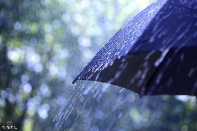 东边太阳西边雨，东边太阳西边雨整首诗（每日一诗：东边日出西边雨）