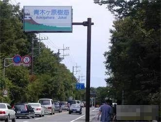 日本公园消失事件，19棵树干摆SOS救不知情遇难者