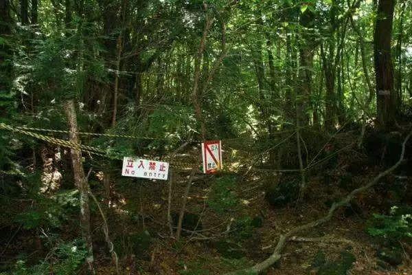 日本公园消失事件，19棵树干摆SOS救不知情遇难者