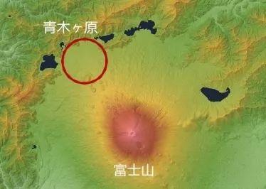 日本公园消失事件，19棵树干摆SOS救不知情遇难者