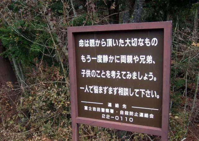 日本公园消失事件，19棵树干摆SOS救不知情遇难者