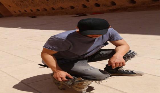 黄景瑜15条微博是表白，黄景瑜被黑仍很火（黄景瑜上线14分钟发图15张）