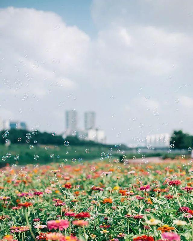 晚安情感180802：有所牵挂，才会真的放下