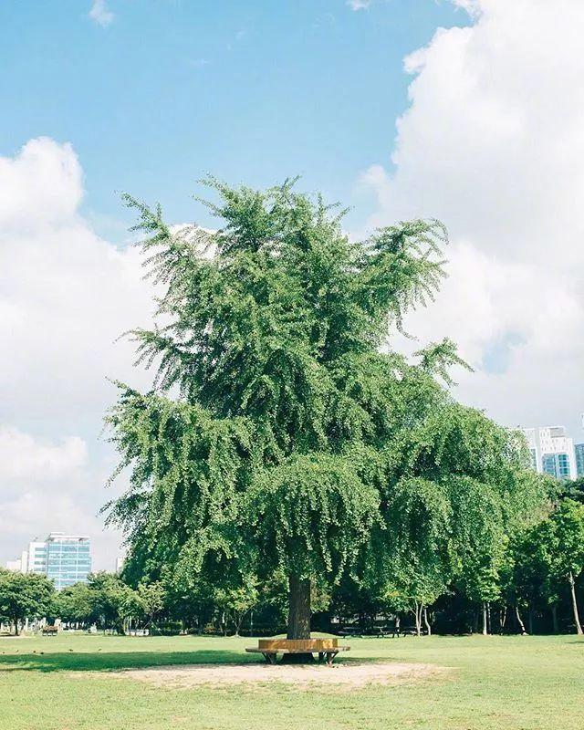 晚安情感180802：有所牵挂，才会真的放下