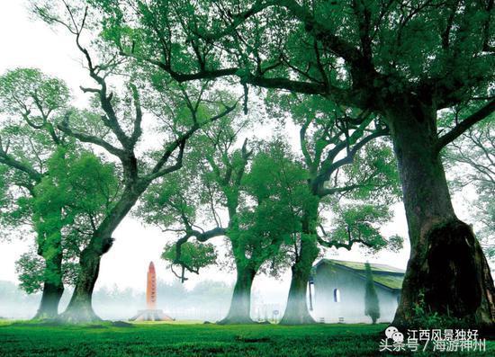 江西5a景区名单，江西的5a景区都有哪些