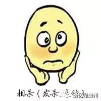 巢湖的由来及传说，儒林外史中的巢湖方言