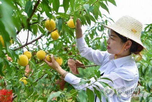 株洲神农公园漂流攻略，这个周末带家人去逛逛吧