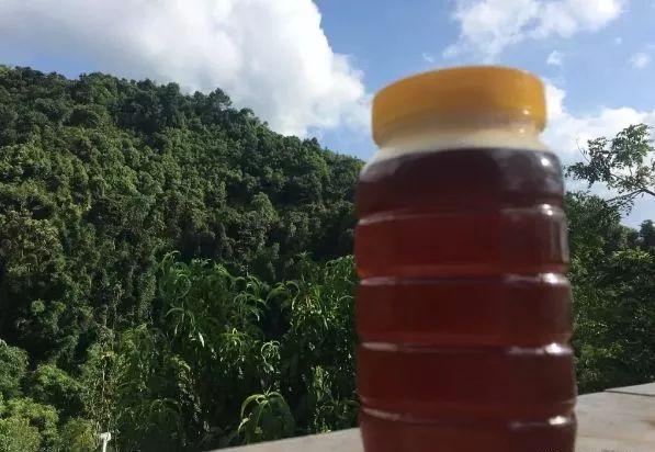 怀集县特产介绍，怀集的干货特产