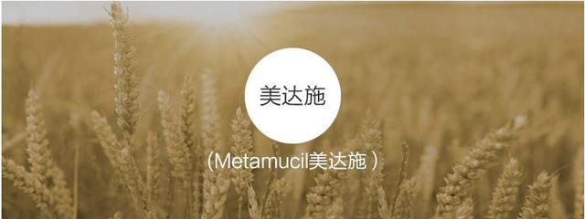 美国第一夫人谁最美，加拿大夫人穿深v抢风头