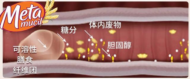 美国第一夫人谁最美，加拿大夫人穿深v抢风头