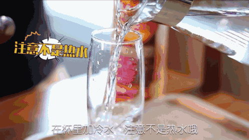 美国第一夫人谁最美，加拿大夫人穿深v抢风头