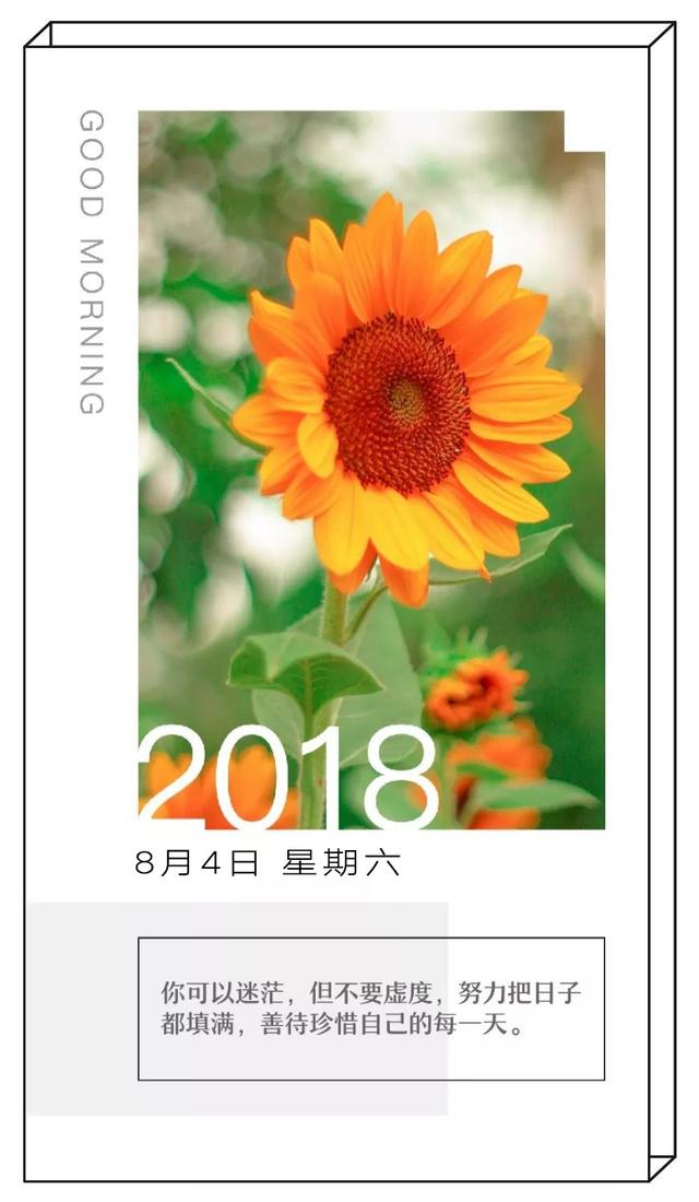 周末早安日签励志180804：活到每天，都值得直播