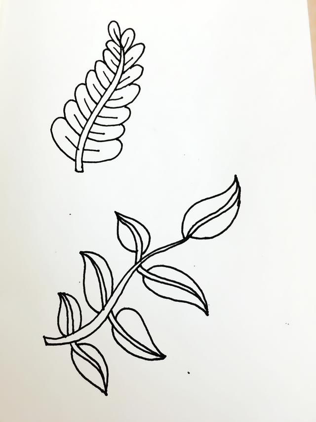 简单的手账手绘简笔画可爱，这两种小叶子简笔画太容易就能学会了吧