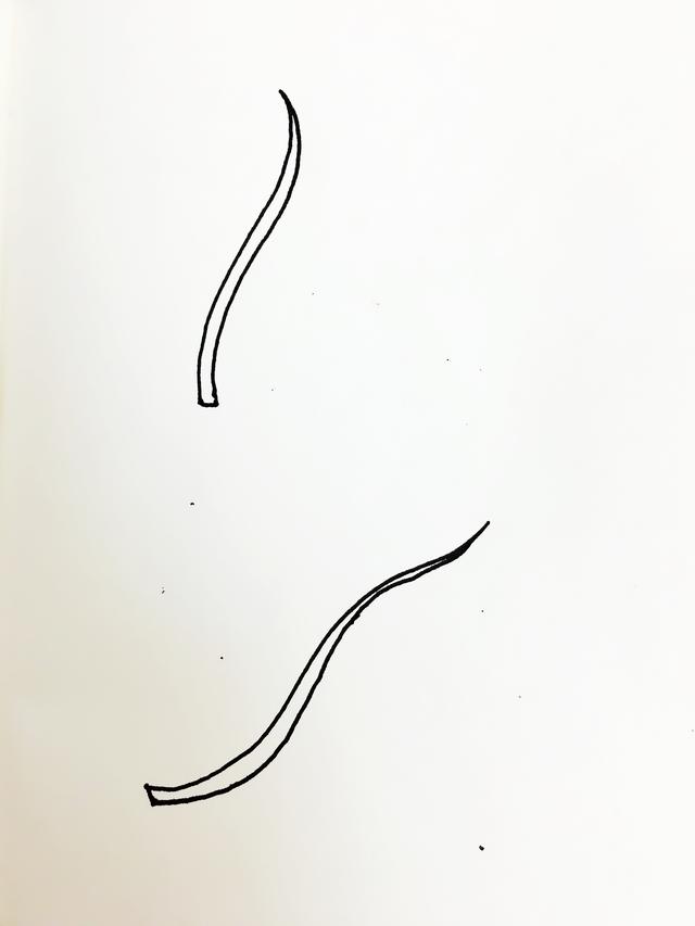 简单的手账手绘简笔画可爱，这两种小叶子简笔画太容易就能学会了吧