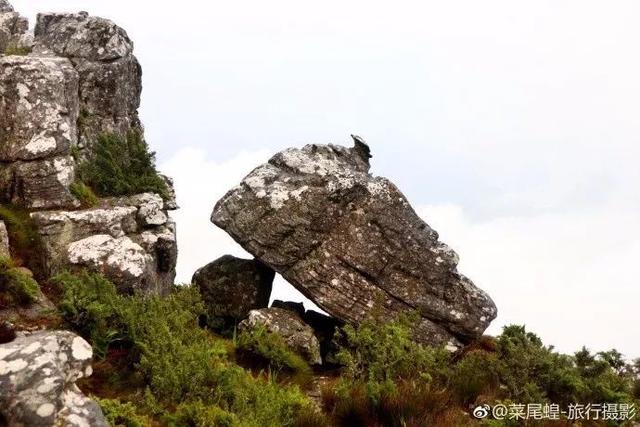 南非开普敦旅游景点，诗与远方的南非开普敦