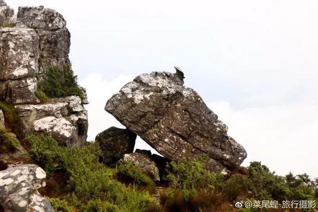 南非开普敦旅游景点，诗与远方的南非开普敦
