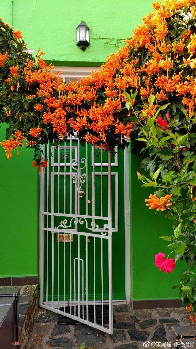 南非开普敦旅游景点，诗与远方的南非开普敦