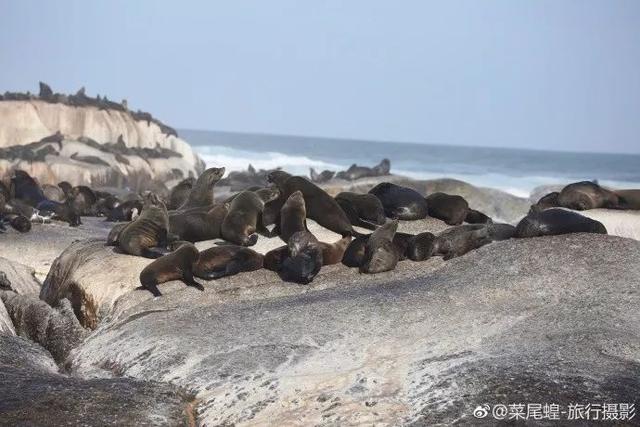 南非开普敦旅游景点，诗与远方的南非开普敦