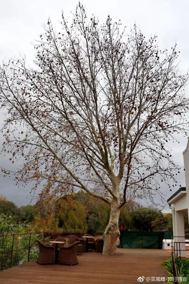 南非开普敦旅游景点，诗与远方的南非开普敦