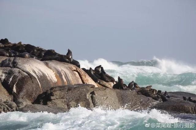 南非开普敦旅游景点，诗与远方的南非开普敦
