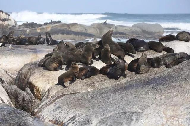 南非开普敦旅游景点，诗与远方的南非开普敦
